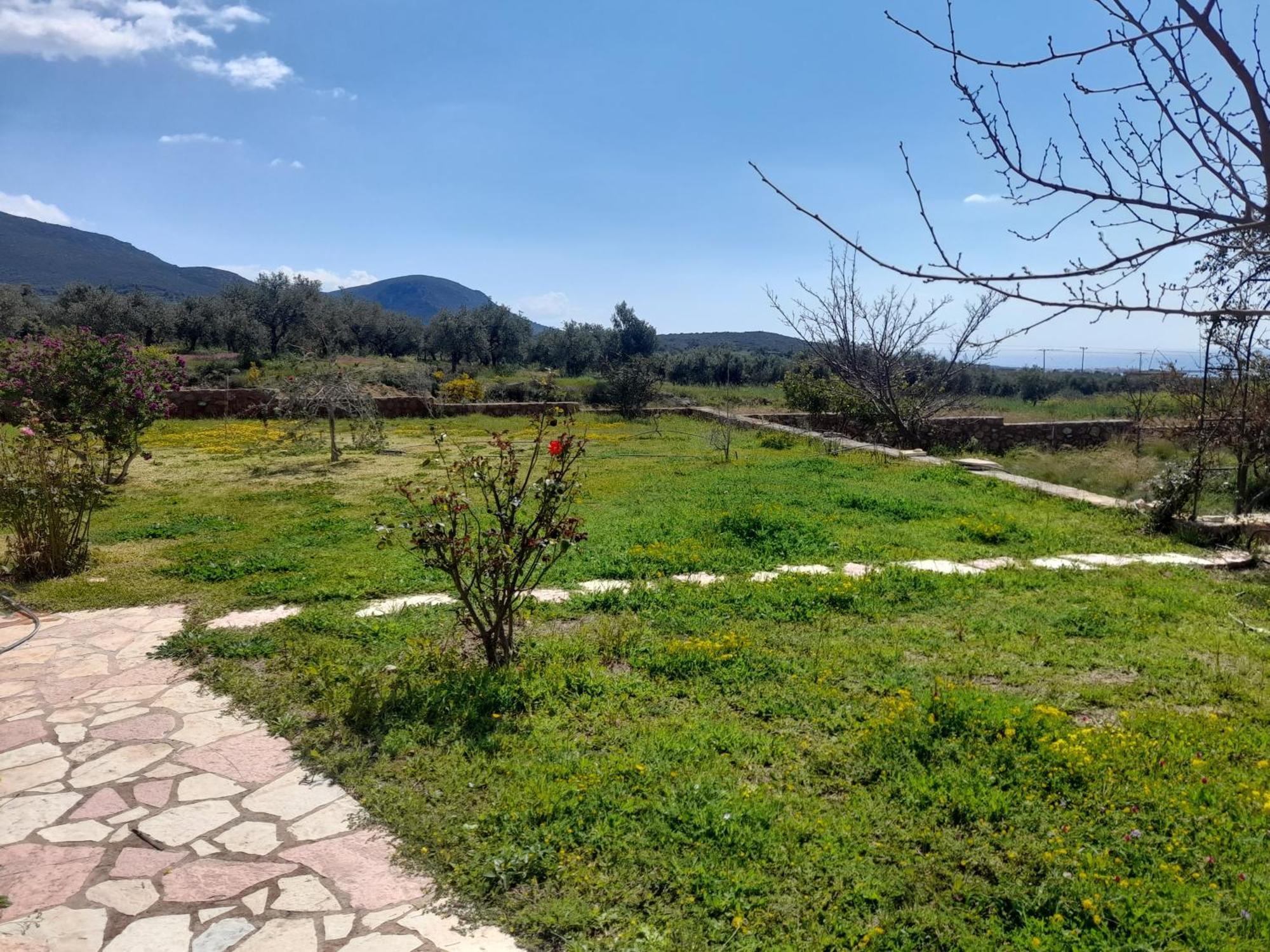 Paralia Demonias “Villa Othon-Leni” מראה חיצוני תמונה