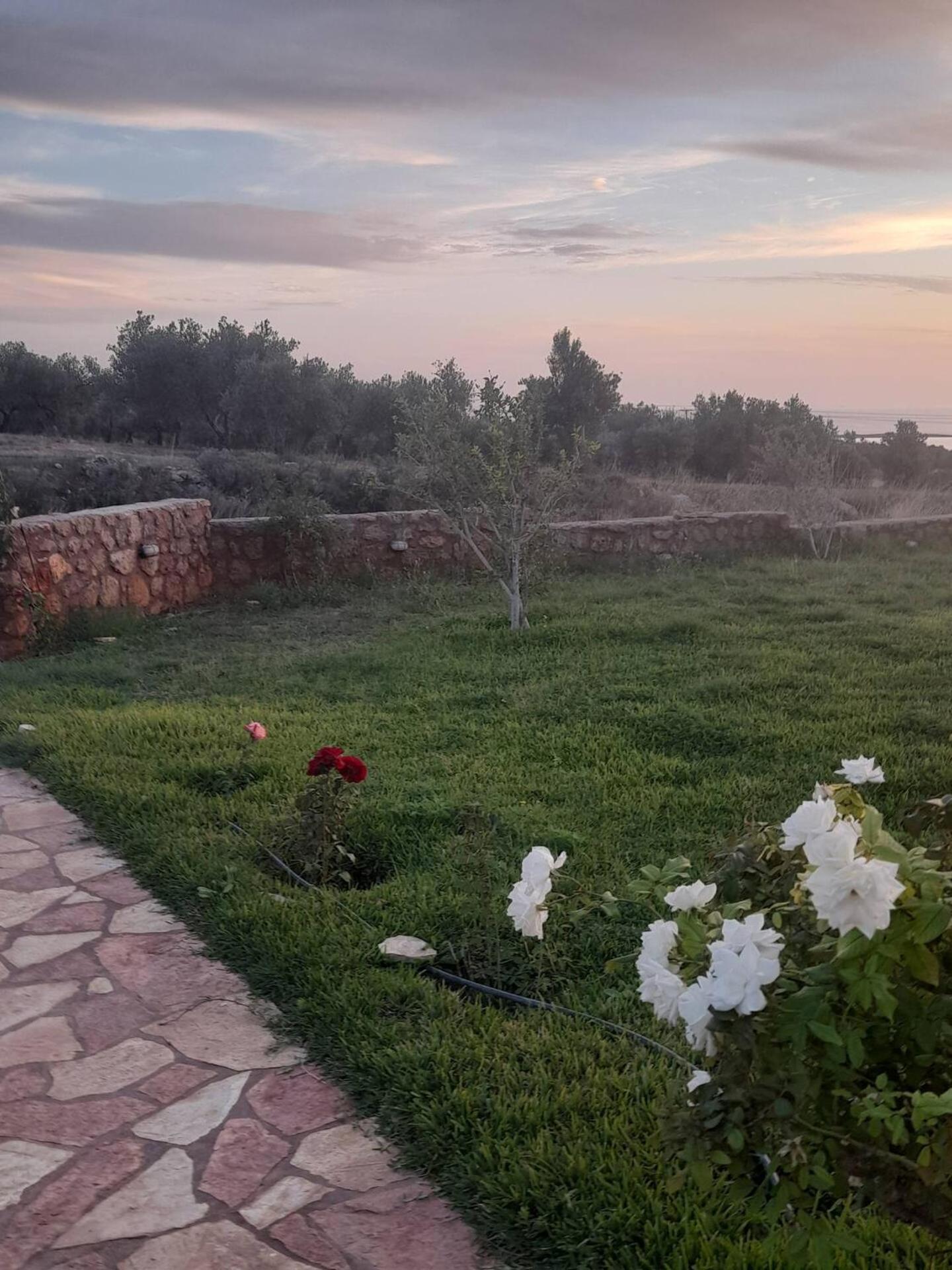 Paralia Demonias “Villa Othon-Leni” מראה חיצוני תמונה